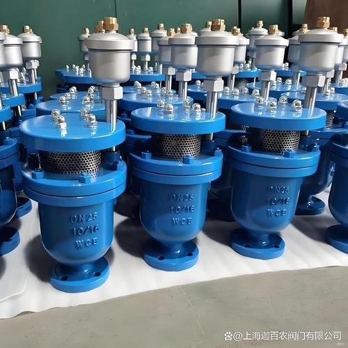 排气阀在阀门系统中的作用与应用
